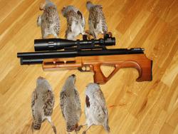 post-26309-0-33275100-1427484949_thumb.j