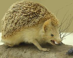 post-26941-0-70599100-1425651153_thumb.j