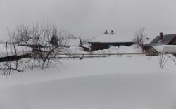 post-27646-0-61335400-1426485234_thumb.j