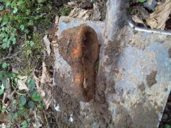 post-27737-0-05450500-1425209186_thumb.j