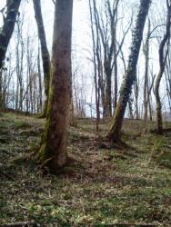 post-27737-0-40169900-1425208978_thumb.j