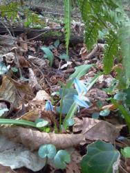 post-27737-0-41026600-1425208908_thumb.j