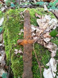 post-27737-0-95083700-1425209565_thumb.j