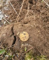 post-27784-0-31311500-1427040586_thumb.j