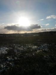 post-27784-0-51234700-1427040549_thumb.j