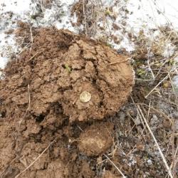 post-27784-0-55250300-1427040591_thumb.j