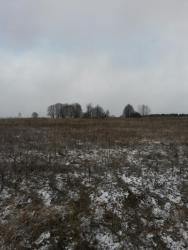 post-27784-0-98461500-1427040579_thumb.j