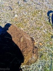 post-28025-0-36776500-1427604324_thumb.j