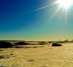 post-28025-0-50103400-1427604298_thumb.j