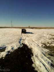 post-28025-0-83087300-1427604281_thumb.j