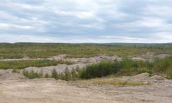 post-29656-0-38586600-1426563697_thumb.j