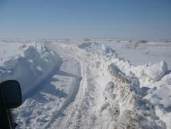 post-29871-0-19443400-1426945401_thumb.j