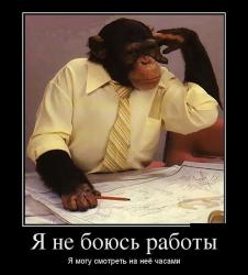 post-30211-0-81506000-1426792948_thumb.j