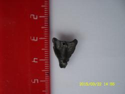 post-30379-0-18282200-1427027178_thumb.j