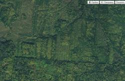 post-30808-0-38661100-1425975665_thumb.j