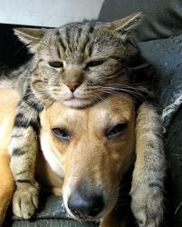 post-31368-0-00718900-1426485514_thumb.j