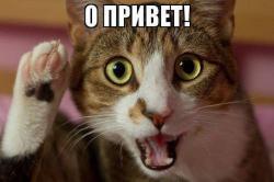 post-31368-0-02012100-1426485481_thumb.j