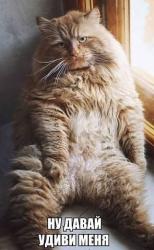 post-31368-0-29600800-1426485529_thumb.j