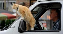 post-31368-0-43340500-1426485560_thumb.j