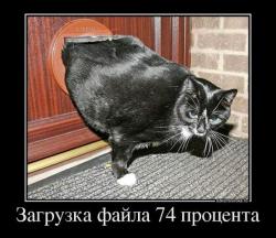 post-31368-0-44098100-1426485549_thumb.j