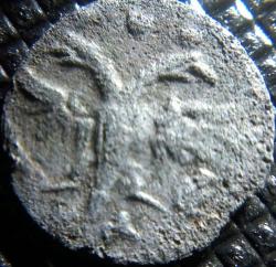 post-31442-0-80959400-1425242535_thumb.j