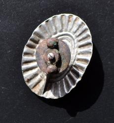 post-31750-0-11558500-1427119094_thumb.j