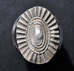 post-31750-0-90373000-1427119090_thumb.j