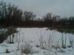 post-31805-0-12050600-1426421001_thumb.j