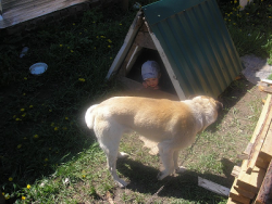 post-32197-0-19317300-1425719931_thumb.p