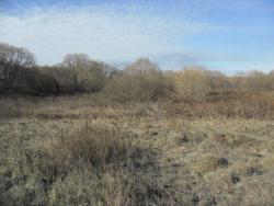 post-32197-0-69627900-1425289279_thumb.j