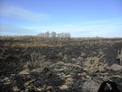 post-32197-0-91204400-1425333383_thumb.j