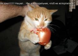 post-32585-0-03560600-1426072394_thumb.j