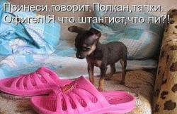 post-32585-0-09088900-1427020777_thumb.j