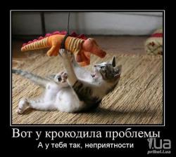 post-32585-0-19791600-1426235832_thumb.j