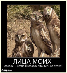 post-32585-0-34630600-1426068322_thumb.p