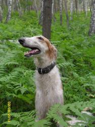 post-32725-0-62487500-1427177713_thumb.j