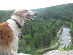 post-32725-0-97326600-1427177725_thumb.j