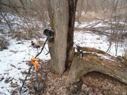 post-32874-0-09500600-1427313453_thumb.j