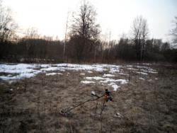 post-32874-0-19824200-1427614447_thumb.j