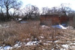 post-32874-0-23595600-1427313754_thumb.j