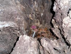 post-32874-0-29996800-1427313469_thumb.j