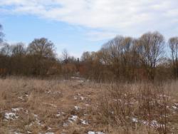 post-32874-0-76841300-1427313541_thumb.j