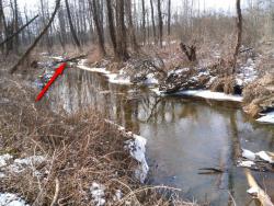 post-32874-0-84459800-1427313308_thumb.j