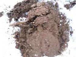 post-32874-0-89534500-1427817260_thumb.j