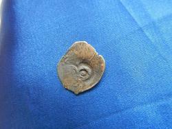 post-33103-0-45526700-1425992245_thumb.j