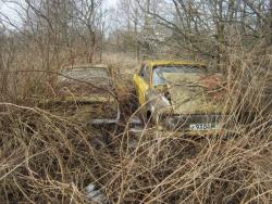 post-33205-0-34968600-1427828263_thumb.j