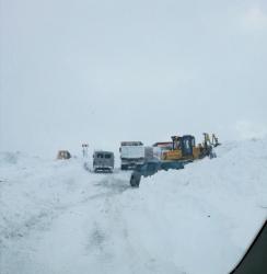 post-33358-0-24281200-1426444201_thumb.j