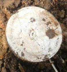 post-33499-0-08601600-1427477176_thumb.j