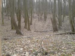 post-33499-0-32897900-1427540114_thumb.j