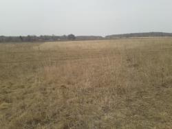 post-33499-0-38605800-1427562841_thumb.j